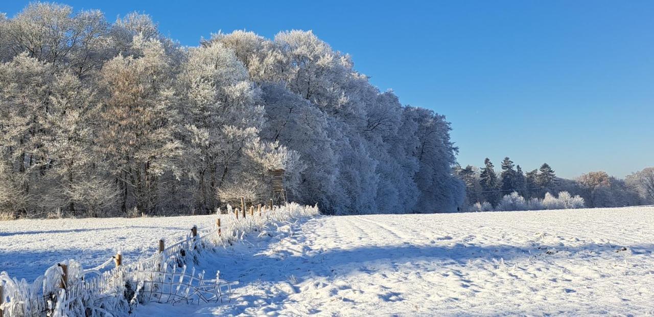 Steewer Landhaus Gemuetliche Ferienwohnung Bis 6 Pers In Ruhiger Ortsrandlage Stebach Dış mekan fotoğraf